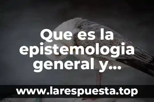 Que es la realidad general 5 Que es la epistemologia general y aplicada en derecho