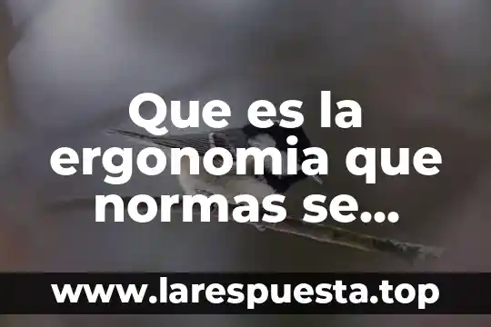 Que es el trbajo seguro para la ergonomia 4 Que es la ergonomia que normas se relaciona