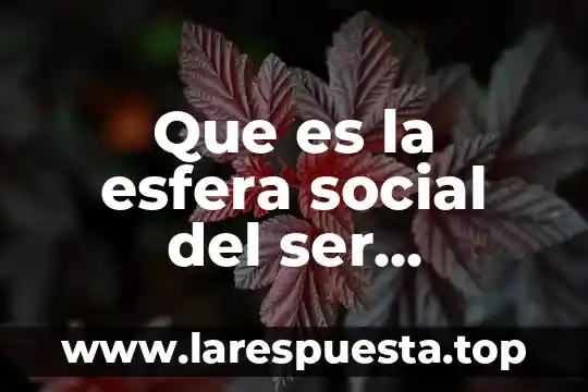 Que es la esfera social del ser humano