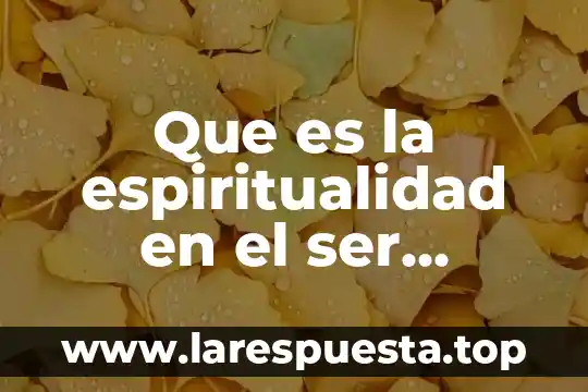 Que es la espiritualidad en el ser humano