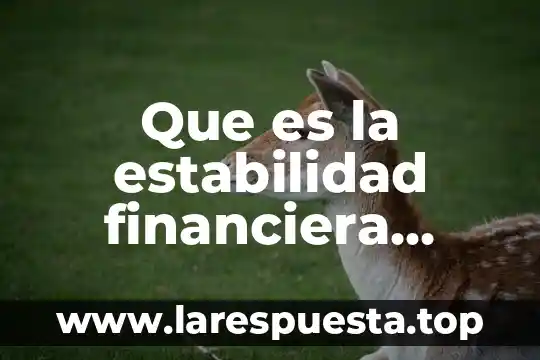 Que es tasa en matematica financiera 7 Que es la estabilidad financiera concepto