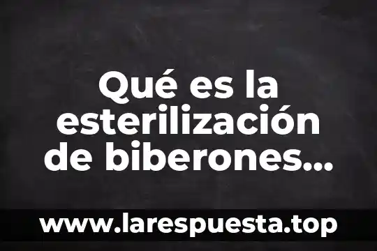 Que es resiliencia definicion 7 Qué es la esterilización de biberones definición