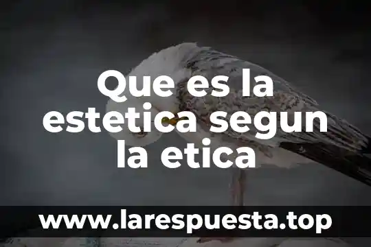 Cosmetologia y estetica integral que es 3 Que es la estetica segun la etica
