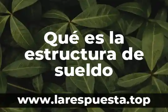 Augusto Comte que es estructura 3 Qué es la estructura de sueldo