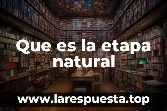 Que es impacto natural 6 Que es la etapa natural