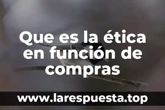 Que es la complejidad en la etica 3 Que es la ética en función de compras