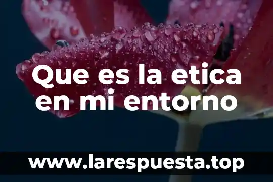 Qué es el entorno de desarrollo de aplicaciones web 8 Que es la etica en mi entorno