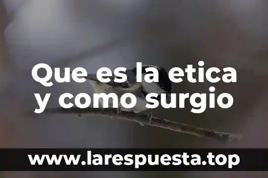 Que es la etica y como surgio