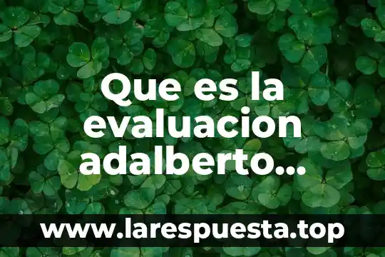 Que es evaluacion cuali-cuantitativo 8 Que es la evaluacion adalberto chavenato