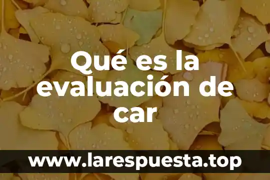 Qué es la evaluación de car