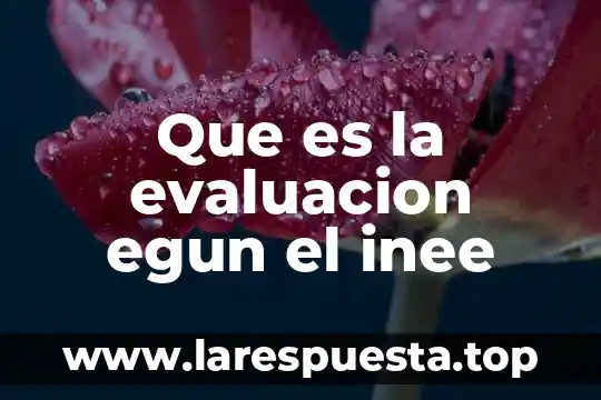 Que es evaluacion cuali-cuantitativo 6 Que es la evaluacion egun el inee