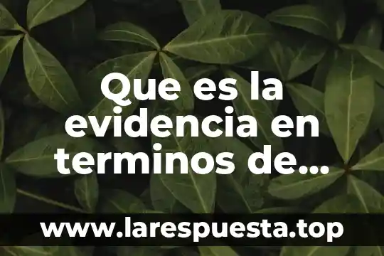 Que es el status quo comunicacion 5 Que es la evidencia en terminos de comunicacion