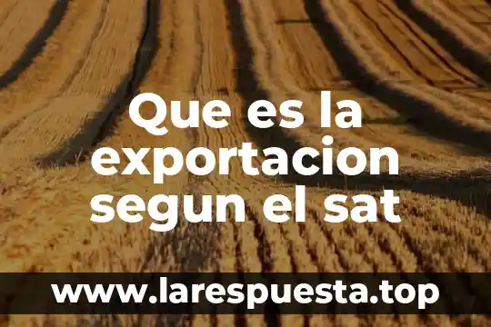 Que es documentos relacionados en sat 7 Que es la exportacion segun el sat