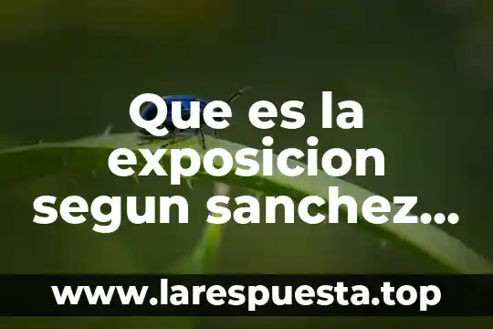 Que es una generalidad de una exposicion 8 Que es la exposicion segun sanchez lobato