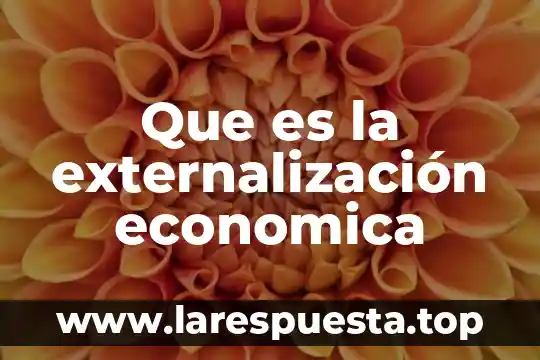 Qué es un modelo de organización económica 8 Que es la externalización economica