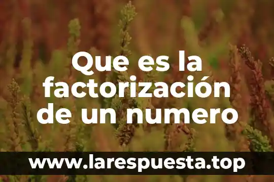 Que es la factorización de un numero
