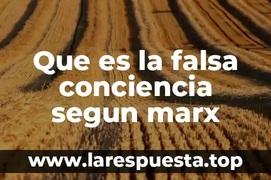 Que es la falsa conciencia segun marx