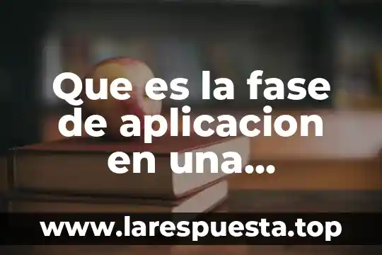 Que es el menu de tiempos 3 Que es la fase de aplicacion en una investigacion
