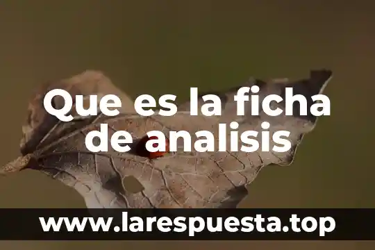 Ficha trabajo que es 4 Que es la ficha de analisis
