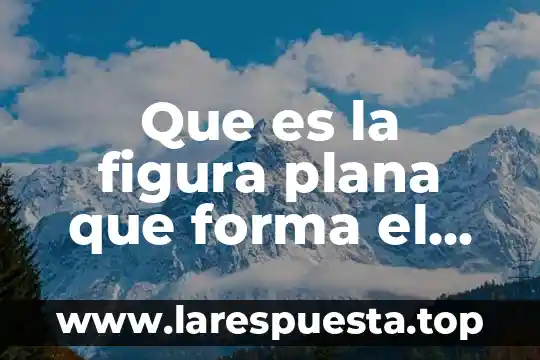 Que es la figura plana que forma el solido