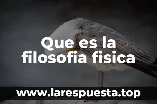 Que es verdad universal en filosofia 4 Que es la filosofia fisica