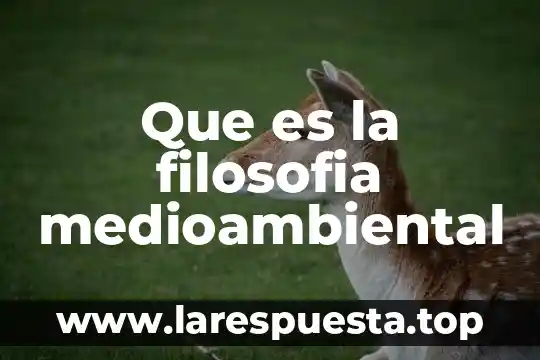 Que es la filosofia medioambiental