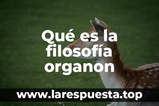 Qué es la filosofía organon