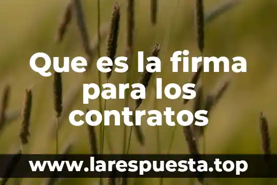 Que es pack de firma de digital 8 Que es la firma para los contratos