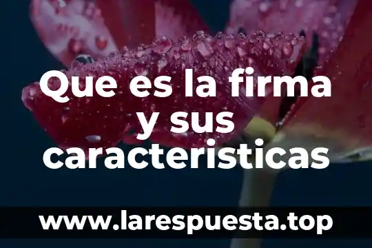 Que es la firma para los contratos 8 Que es la firma y sus caracteristicas