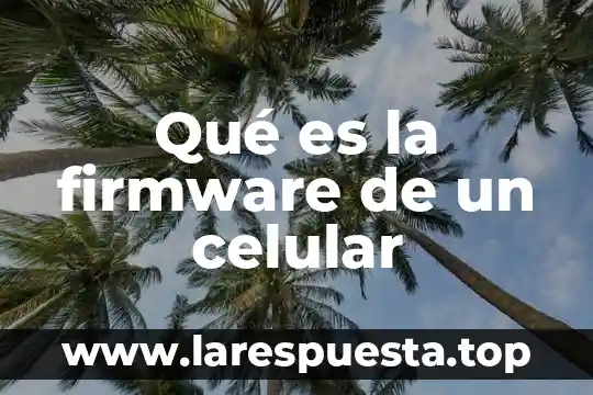 Que es el modo accesibilidad de celular aiwa 6 Qué es la firmware de un celular