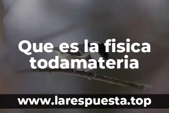 Que es la fisica todamateria