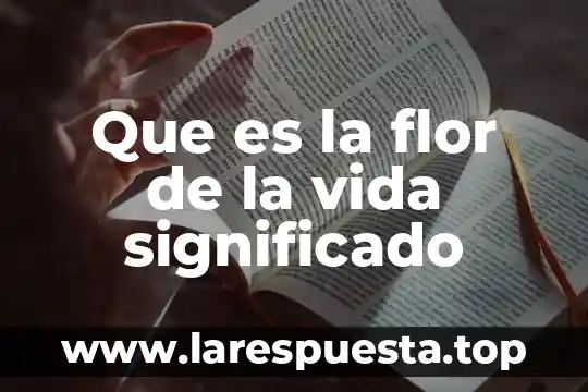 Que es la flor de la vida significado