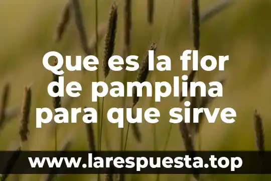 Que es la flor de pamplina para que sirve
