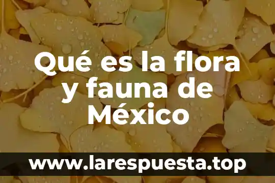 Que es flora ejemplos 5 Qué es la flora y fauna de México