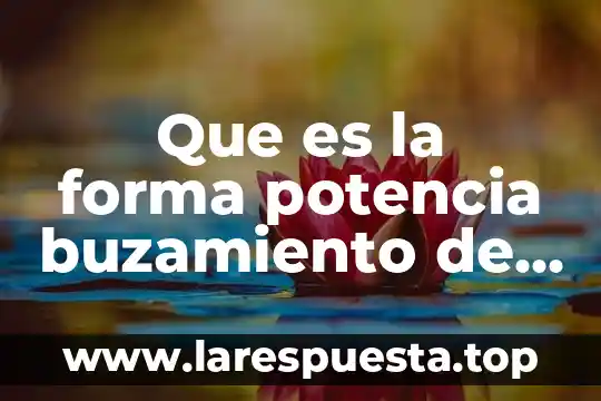 Que es la forma potencia buzamiento de un yacimiento mineral