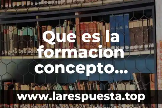 Que es la formacion concepto redalyc