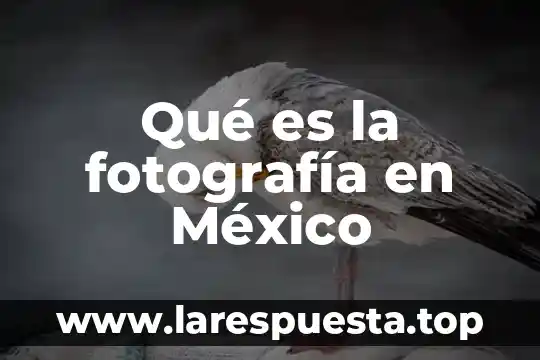 Qué es la fotografía en México