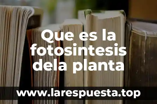 Que es la fotosintesis dela planta