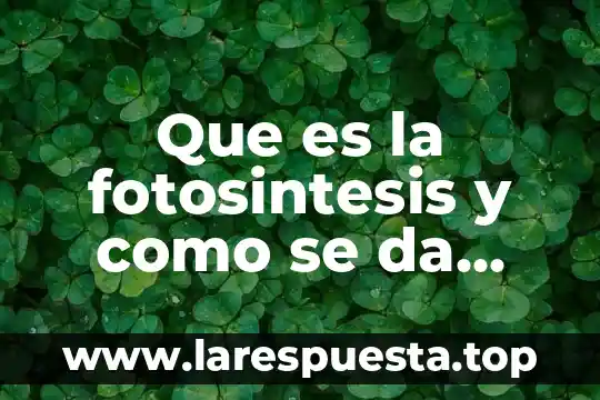 Que es la fotosintesis y como se da este proceso