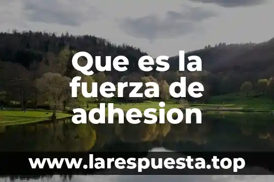 Que es la fuerza de adhesion