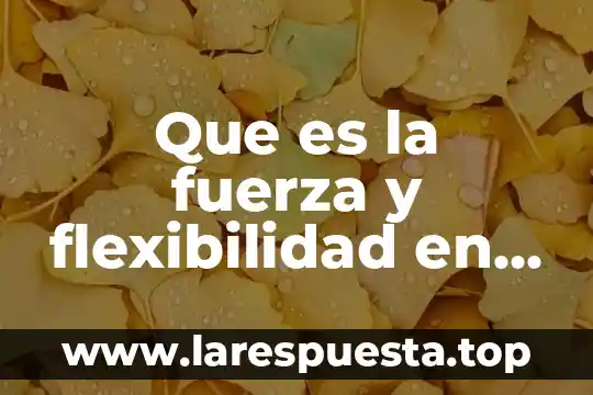 Que es flexibilidad y sus ejemplos 8 Que es la fuerza y flexibilidad en el cuerpo humano