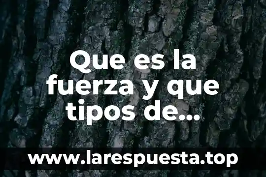 Qué es una conjunción y sus tipos 8 Que es la fuerza y que tipos de fuerzas hay