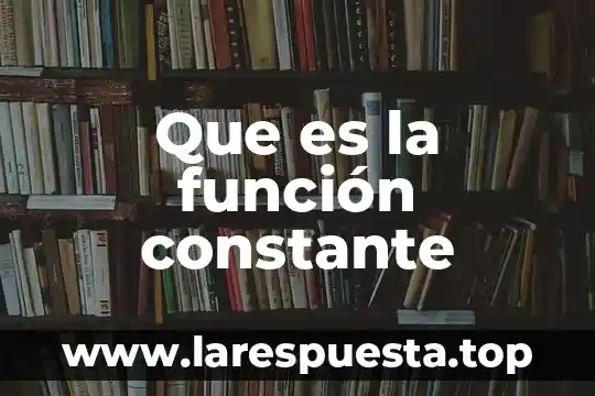 Que es la función constante