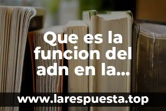 Que es la funcion del adn en la celula