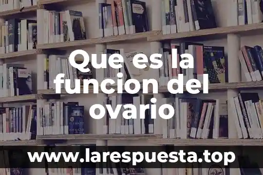 Qué es un nódulo y función 5 Que es la funcion del ovario