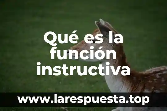 Qué es un nódulo y función 4 Qué es la función instructiva