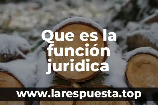 Que es la función juridica