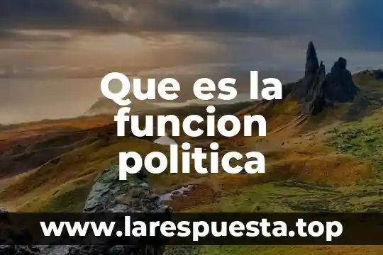 Que es la funcion politica