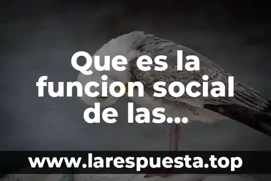 Que es la funcion social de las empresas