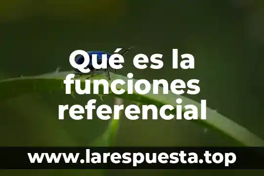 Qué es frecuencia en funciones periódicas 3 Qué es la funciones referencial